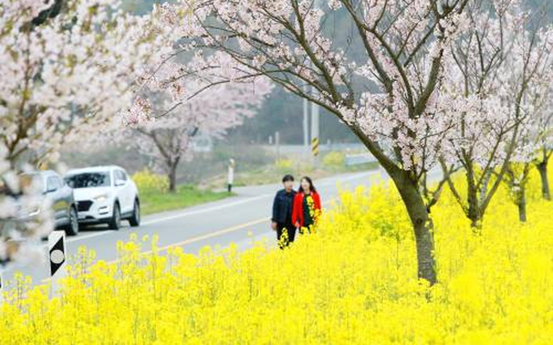 Aantal dagelijkse besmettingen Zuid-Korea onder de 10