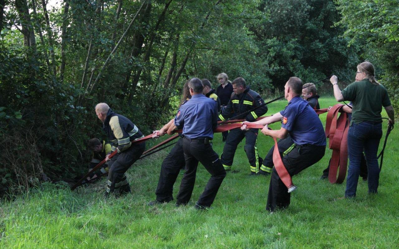 Brandweer redt paard uit greppel in Oldekerk