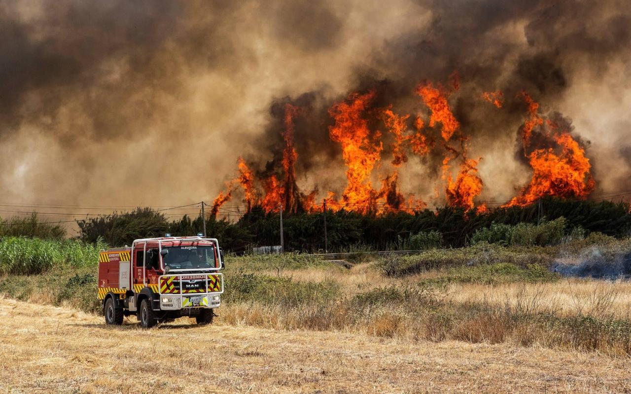 Dode en tientallen gewonden door aanhoudende bosbranden Portugal Dode en tientallen gewonden door aanhoudende bosbranden Portugal