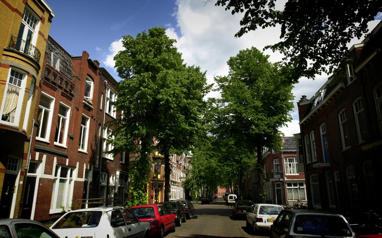 De H.W. Mesdagstraat. Foto: Archief DvhN/Corné Sparidaens