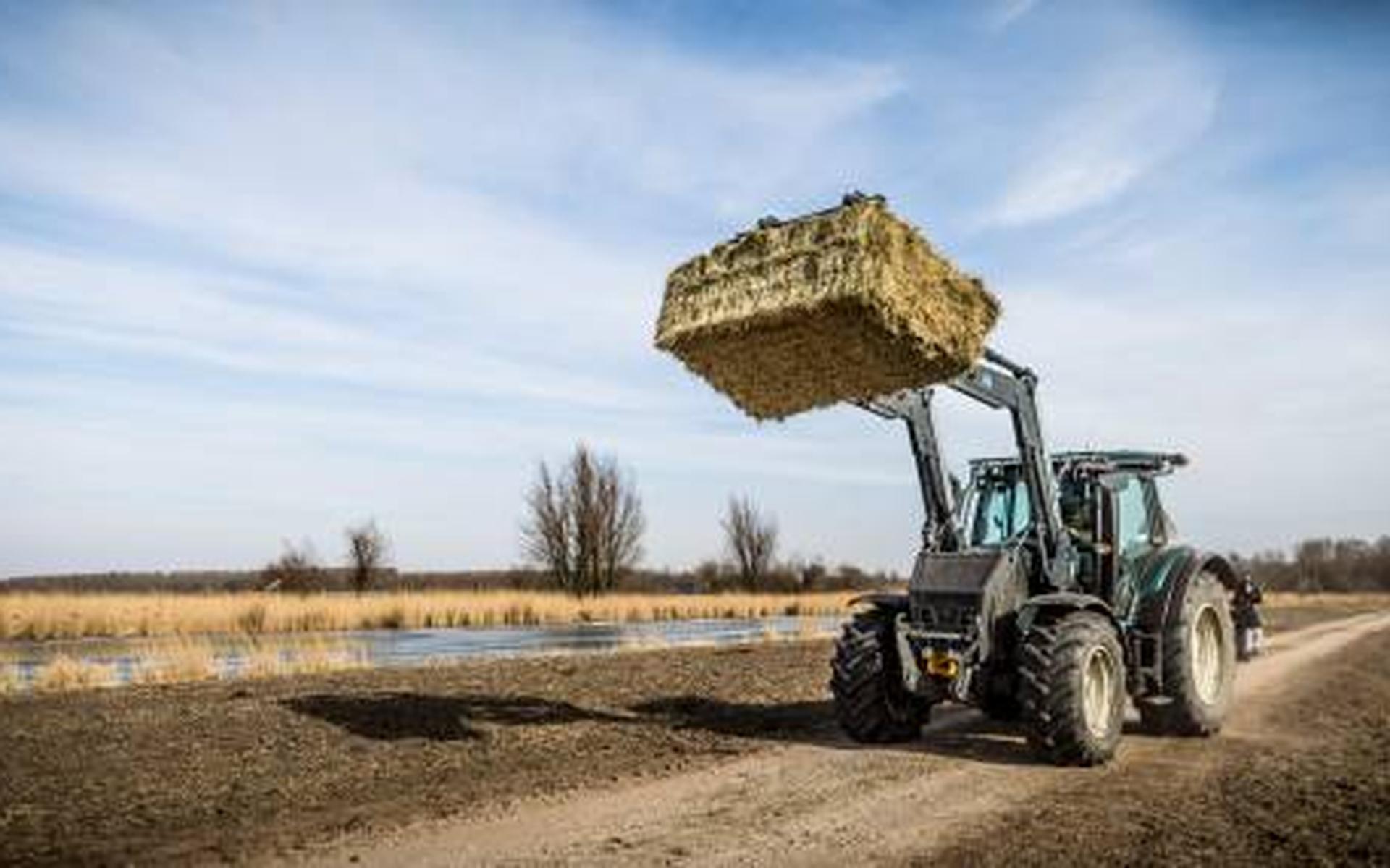 Demonstratie Tegen Beleid Oostvaardersplassen Dagblad Van Het Noorden