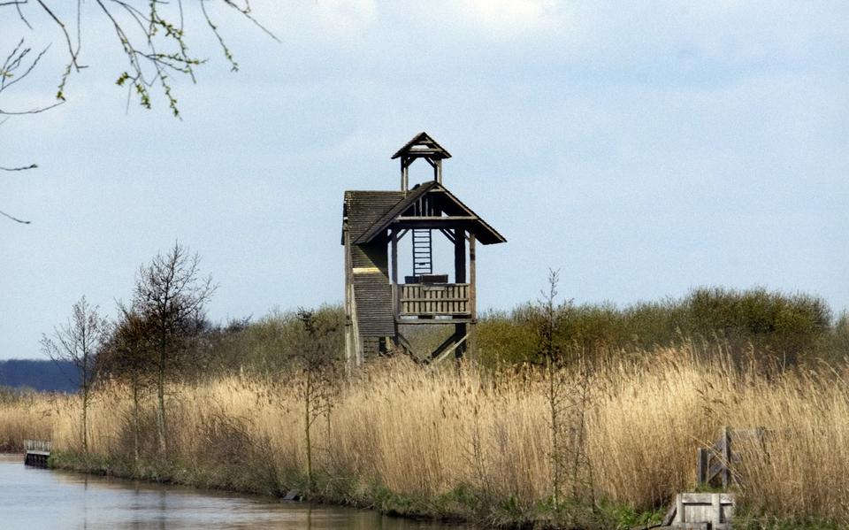 De uitkijktoren bij het Zuidlaardermeer.