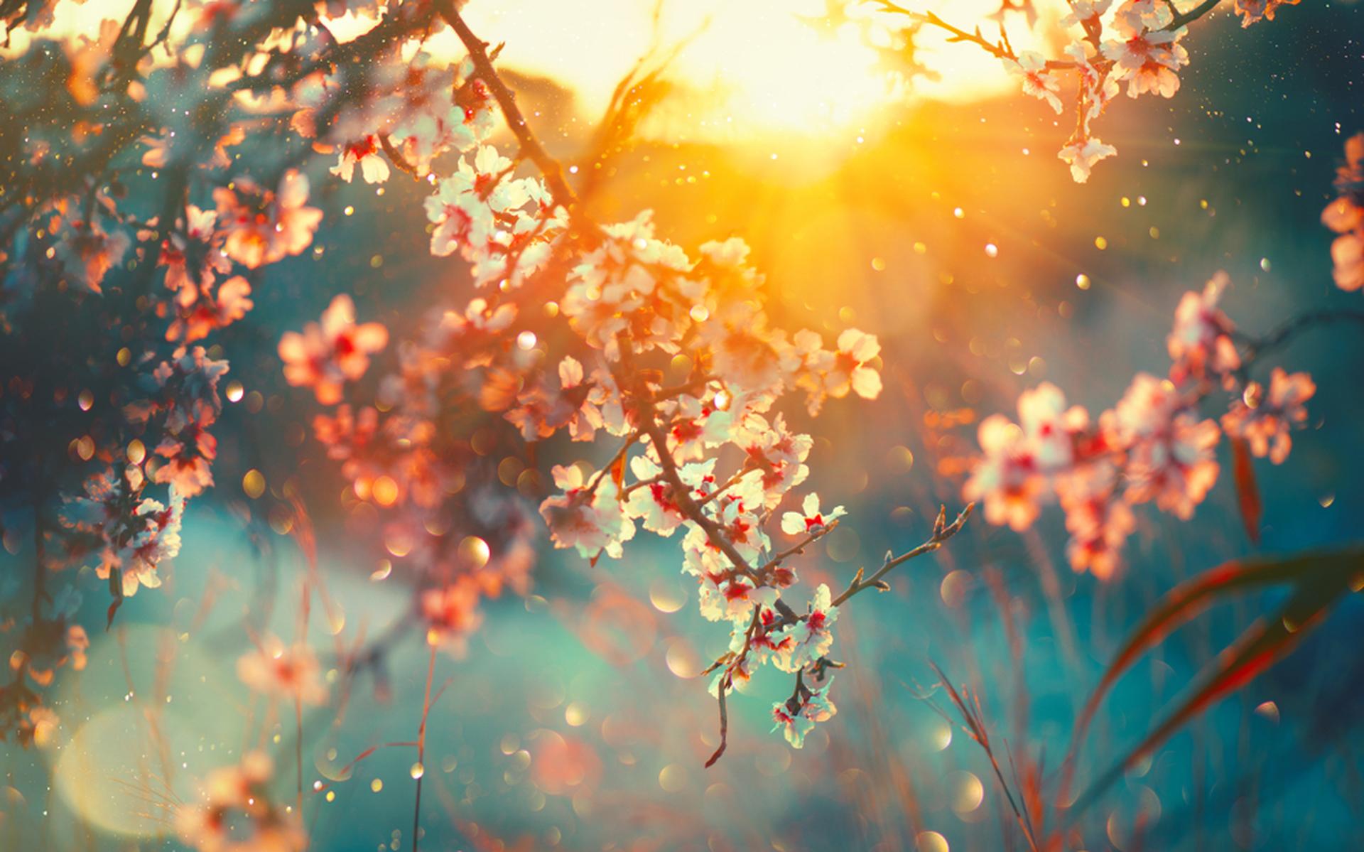 De zomer komt er aan. Het wordt 25 graden! - Dagblad van het Noorden