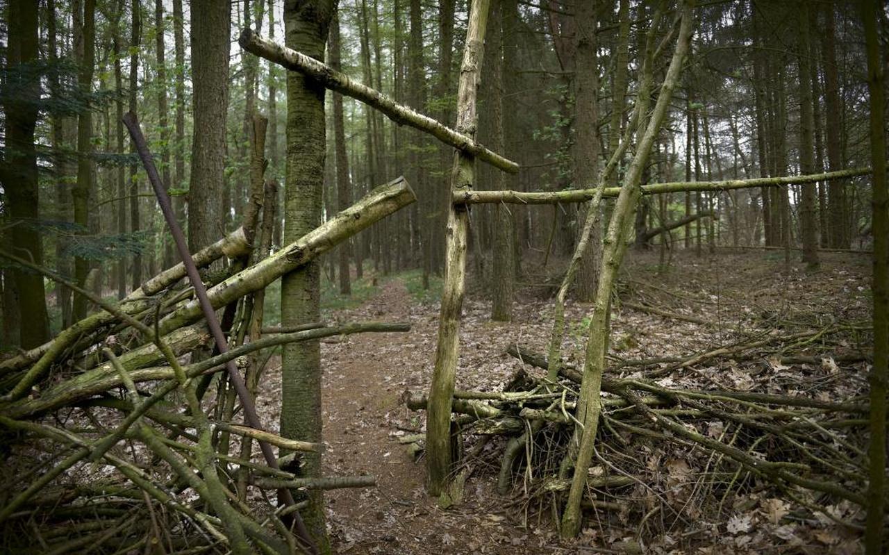 De Zuursche Duinen De Zuursche Duinen