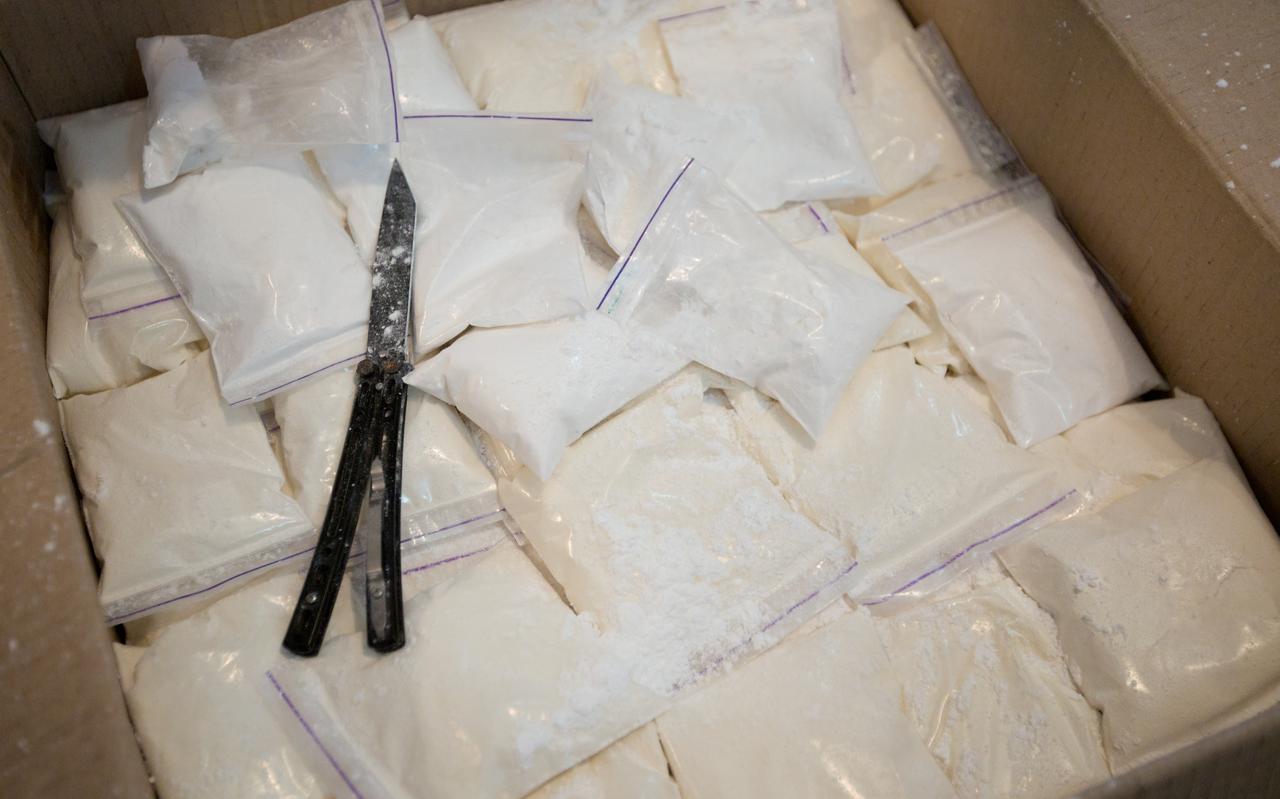 Een vondst cocaïne ter illustratie. Beeld: Shutterstock