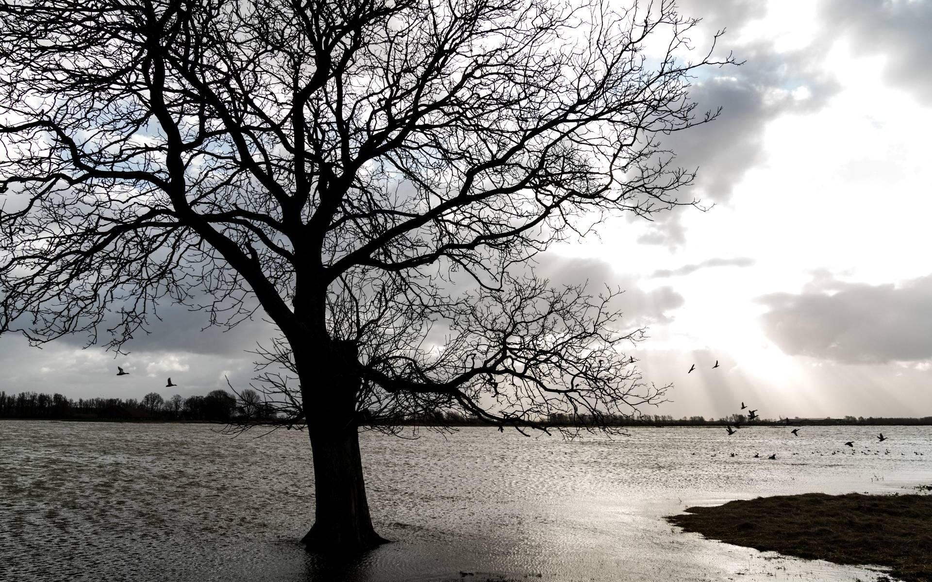 Waterschap laat Eendragtspolder vollopen wegens waterstand Rotte