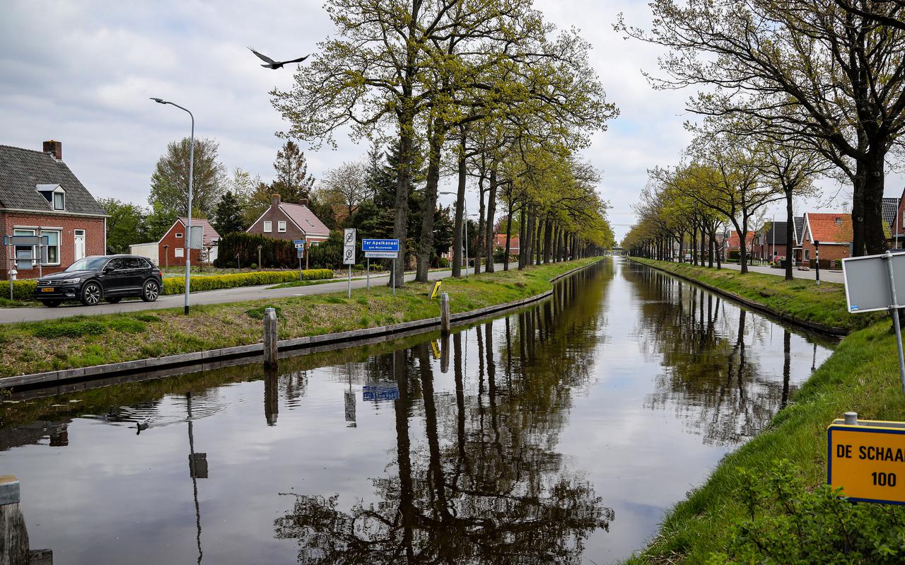 Nieuwe beschoeiing zorgt voor dode reeën in kanaal tussen Zandberg en Ter Apelkanaal.