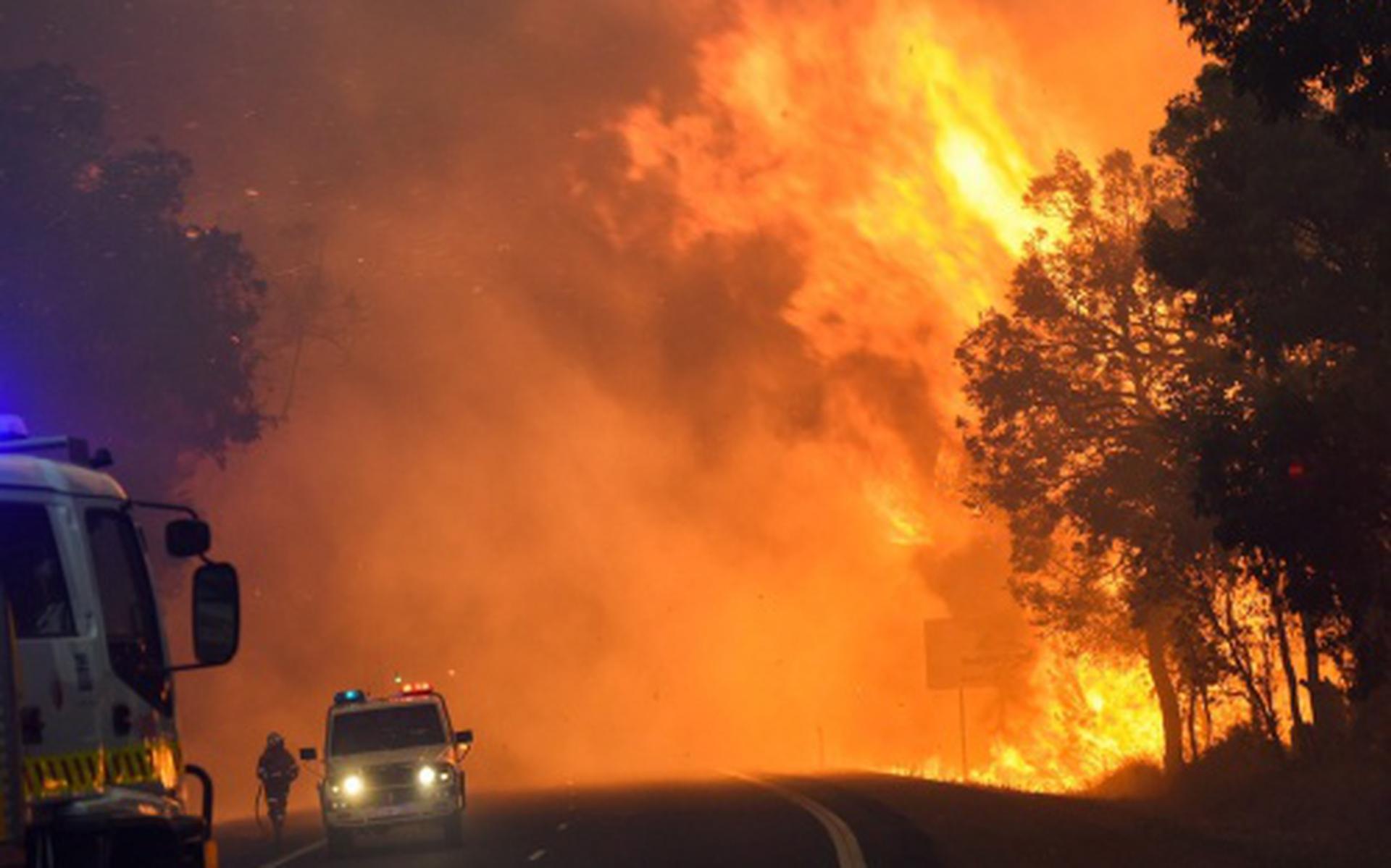Doden bij bosbranden in Australië