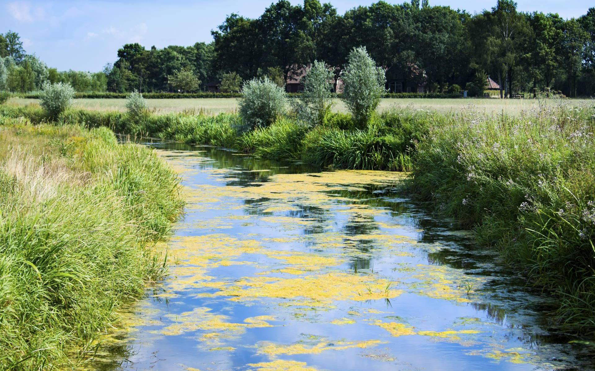 Slechte Waterkwaliteit Kan Economie Gaan Schaden Volgens Experts ...