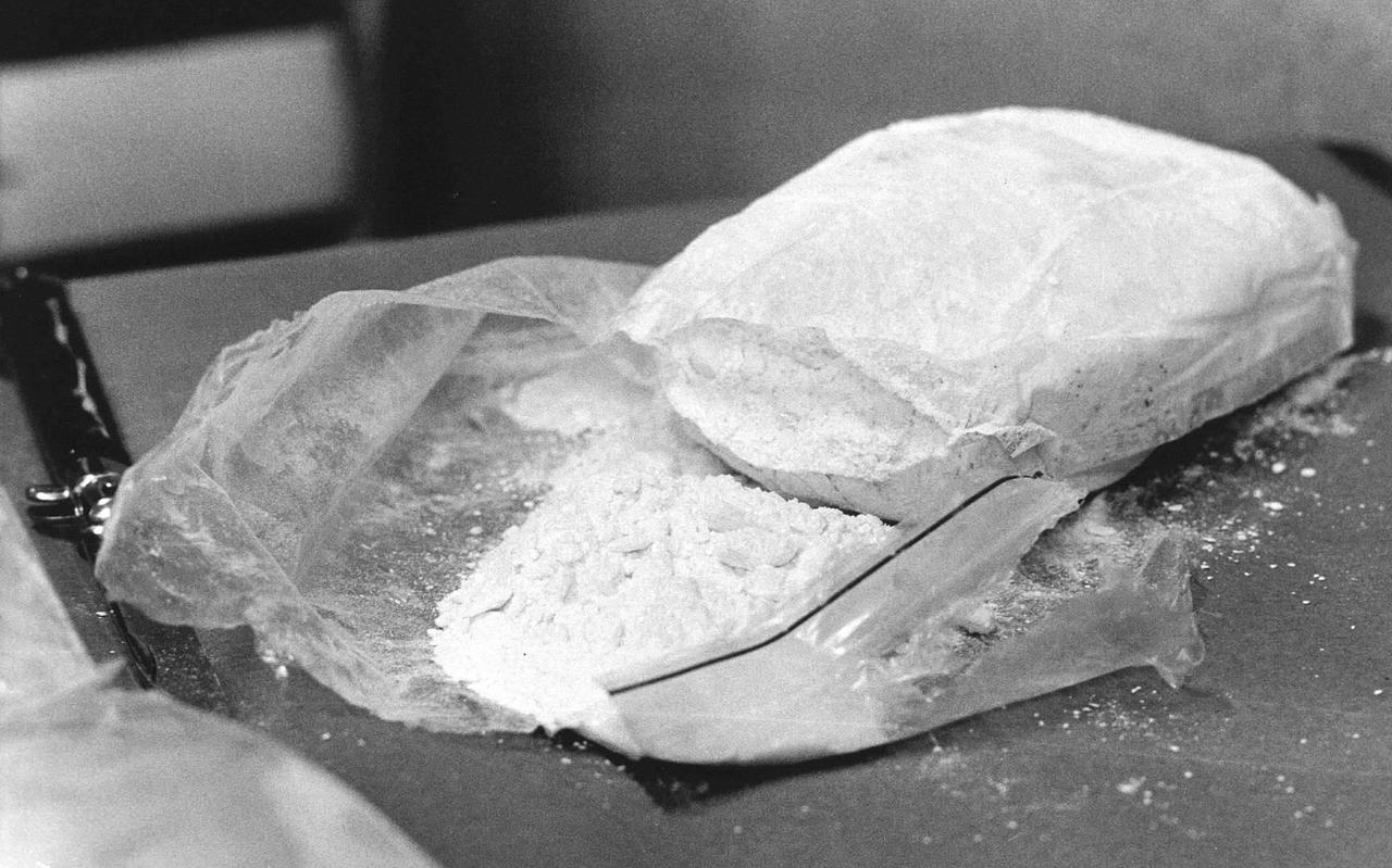Douane onderschept 700 kilo cocaïne in Rotterdamse haven Douane onderschept 700 kilo cocaïne in Rotterdamse haven