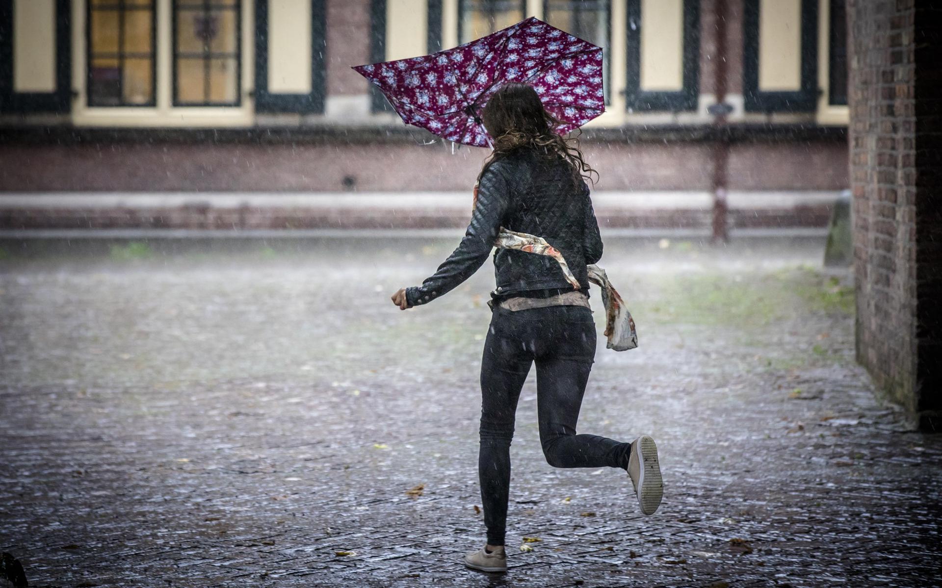 ONWAAR Missie bevind zich Maak je borst maar nat: regen en wind luiden de herfst in - Dagblad van het  Noorden