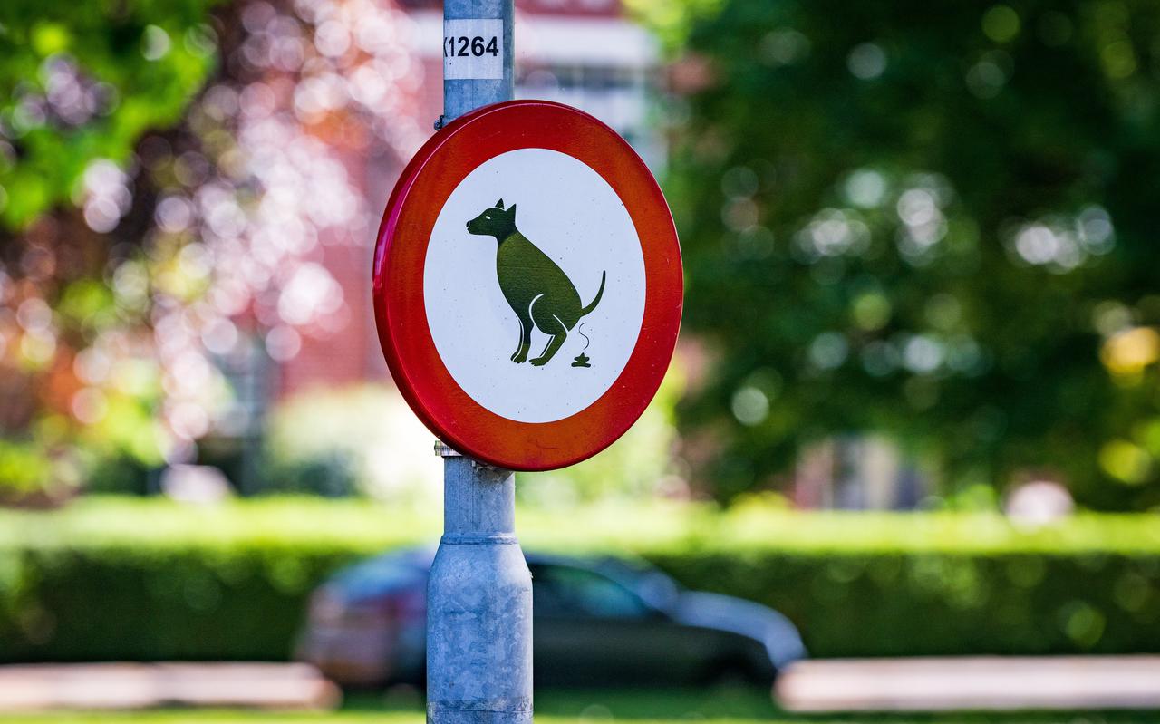 Niks helpt tegen hondenpoep in het openbaar in de Oosterparkwijk.