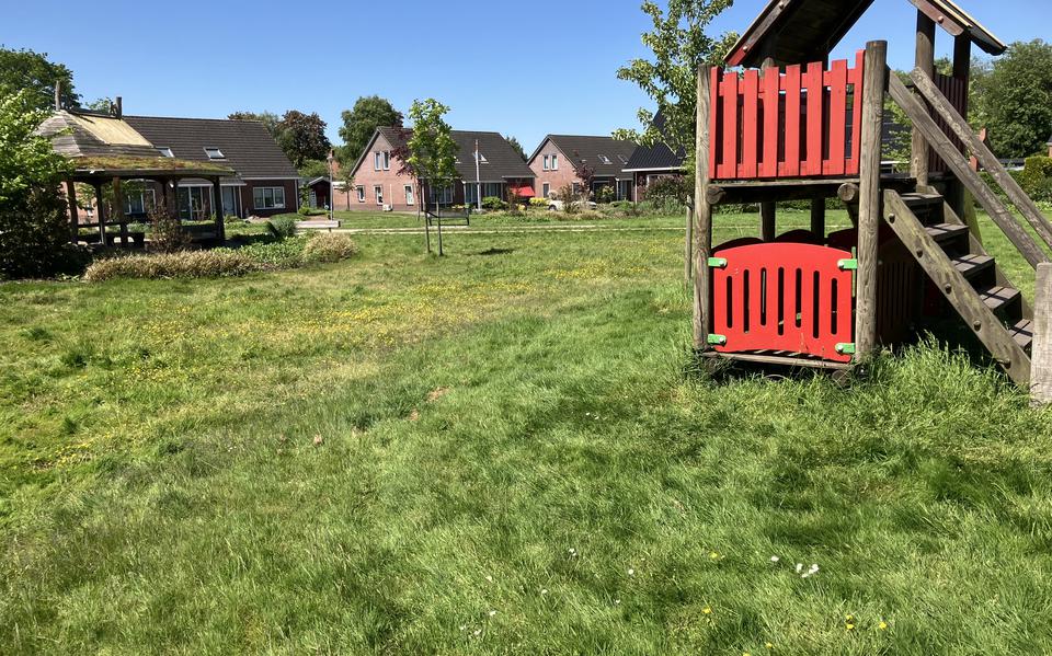 Het gras groeit als kool in het Harm Luppenspark in Finsterwolde.