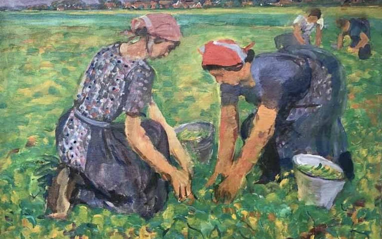 De bonenpluksters van Johan Dijkstra, met op de achtergrond Garnwerd. De bonenpluksters van Johan Dijkstra, met op de achtergrond Garnwerd.