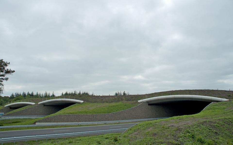 Geluidswal langs en het ecoduct over de A28 bij Dwingelderveld werd enkele jaren geleden genomineerd - Foto: Drentse Landschap