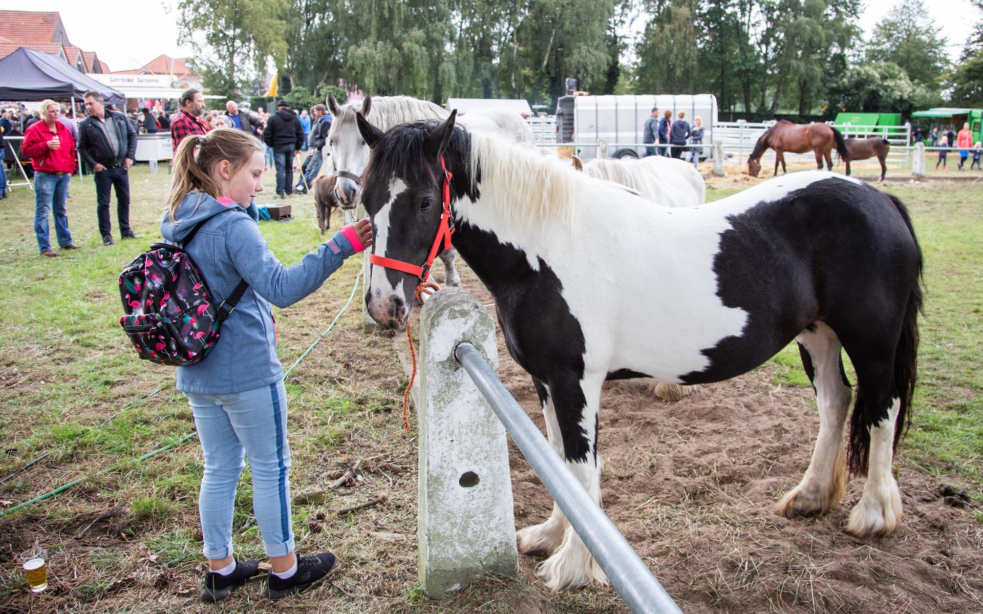 Goed nieuws voor veel Groningers: de Rheder Markt, net over de grens bij Bellingwolde, keert terug -