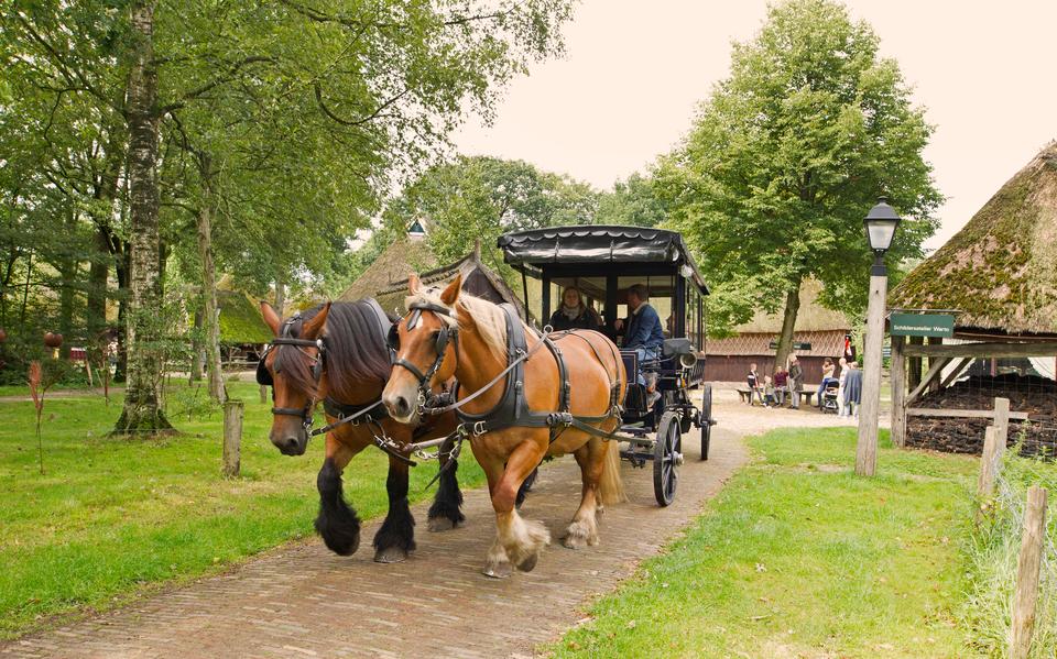 Dag van het Paard in Orvelte. 