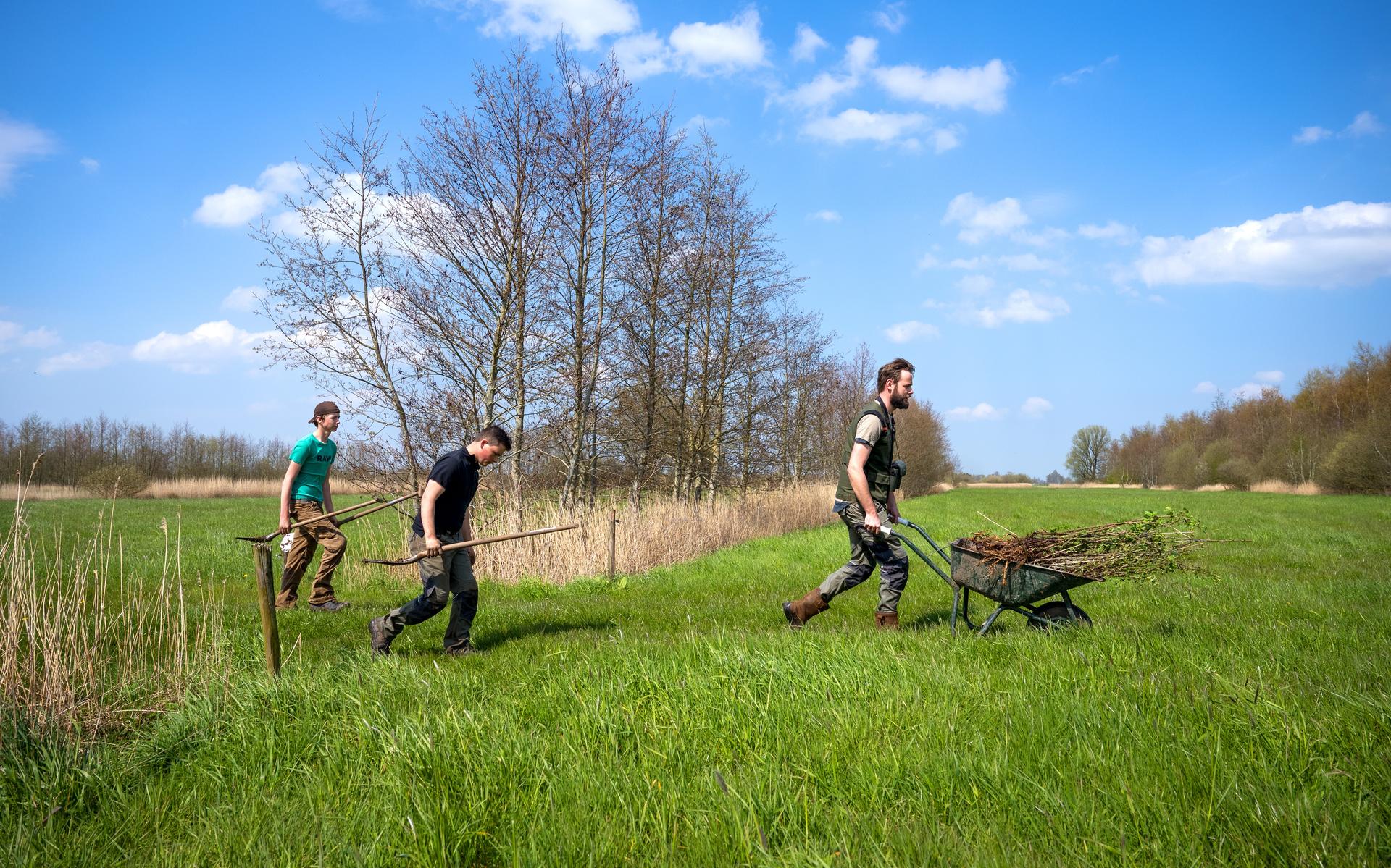 Staatsbosbeheer heeft met geld van de provincie 4500 meter aan houtsingels toegevoegd aan het natuurgebied Doezumermieden bij Peebos.