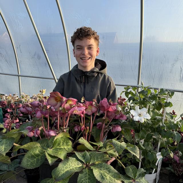 Dylan (15) uit Klazienaveen offerde zijn bromfiets en bootje op om eigen kwekerij te beginnen. ‘Hier