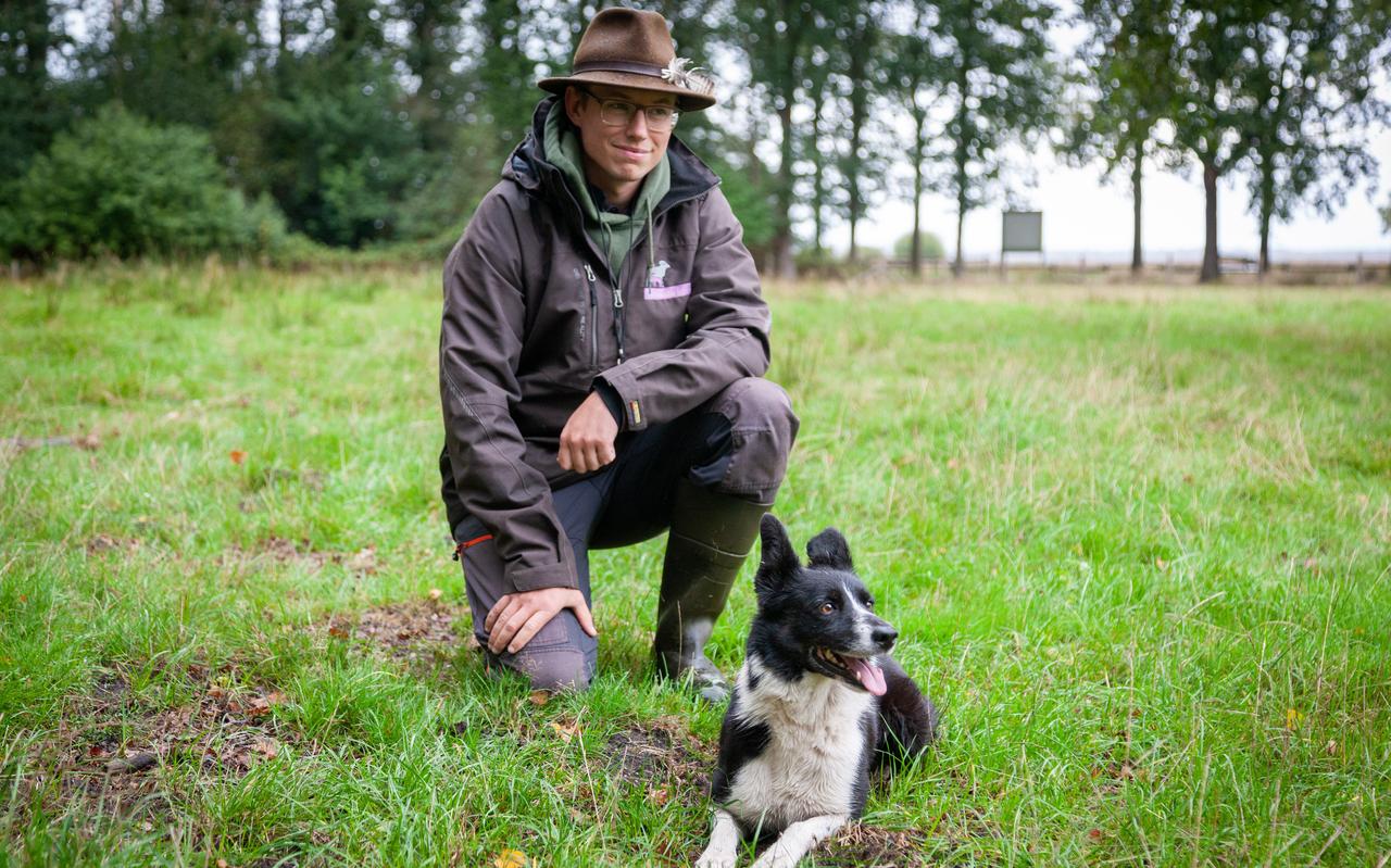 Even in de lens kijken, is er bij Rosie niet bij. De ogen van de border collie blijven op de schapen gericht. Even in de lens kijken, is er bij Rosie niet bij. De ogen van de border collie blijven op de schapen gericht.