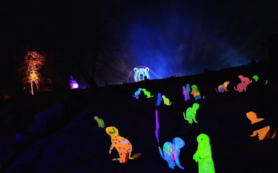 Lichtjesevenement WILDnights (foto uit 2023) helpt de dieren wennen aan muziek en licht.