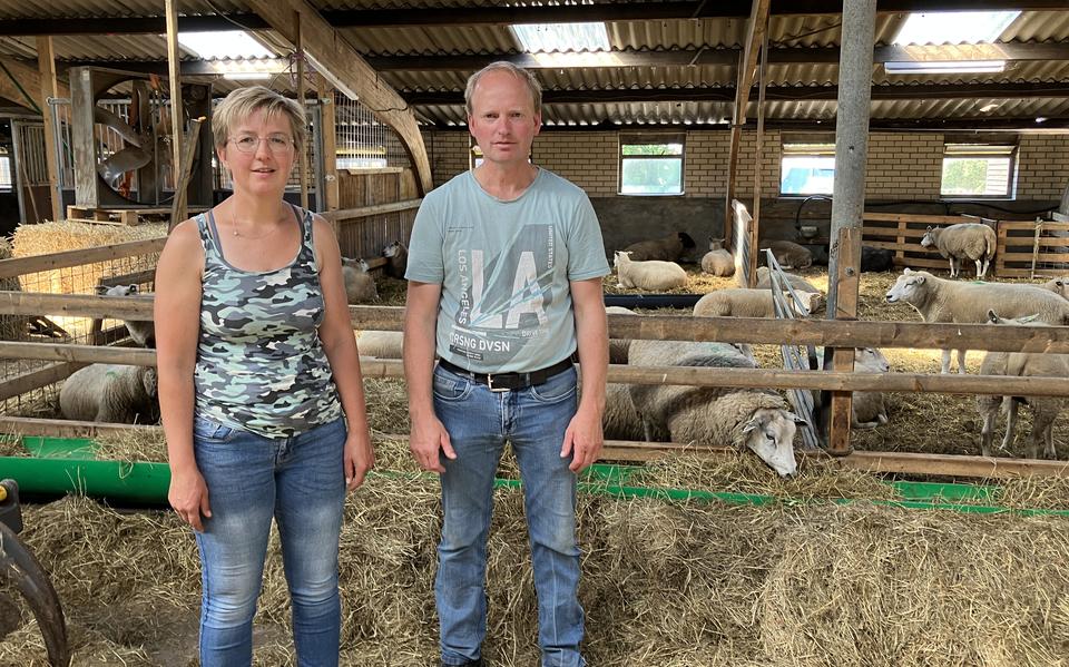 Marjoke en Ynze Oenema in de stal waar hun schapen straks een permanent onderkomen krijgen om ze te beschermen tegen de wolf.