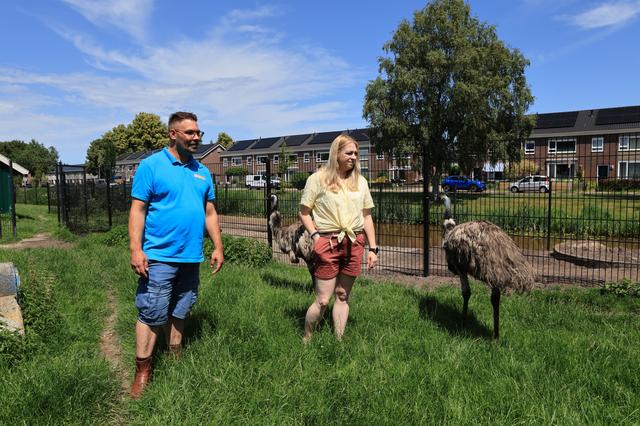 Dierenmishandeling en vernielingen bij dierenweide Stadskanaal. Mark (40) en Franciska (44) zijn het