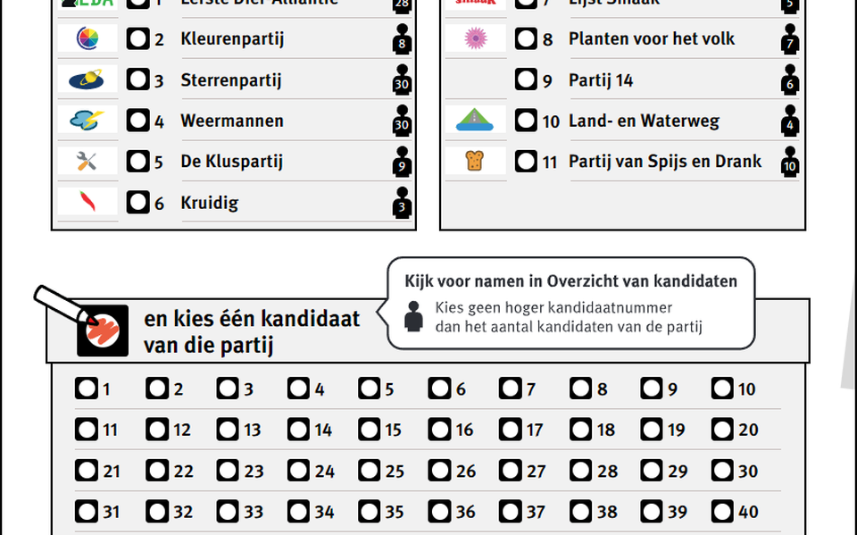 Screenshot van het nieuwe stembiljet waarmee Tynaarlo een proef houdt.  