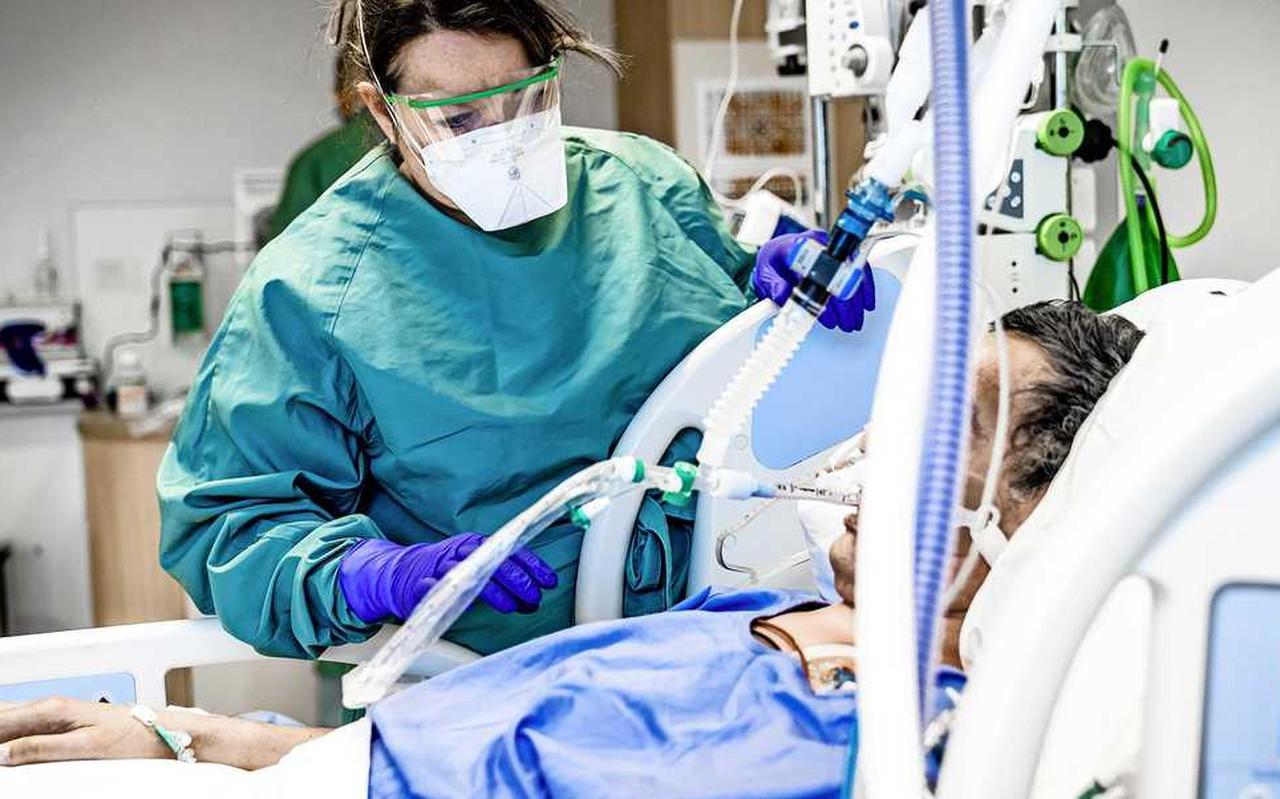 Een coronapatiënt wordt verzorgd op de ic van het Anna Ziekenhuis in Geldrop. Een coronapatiënt wordt verzorgd op de ic van het Anna Ziekenhuis in Geldrop.