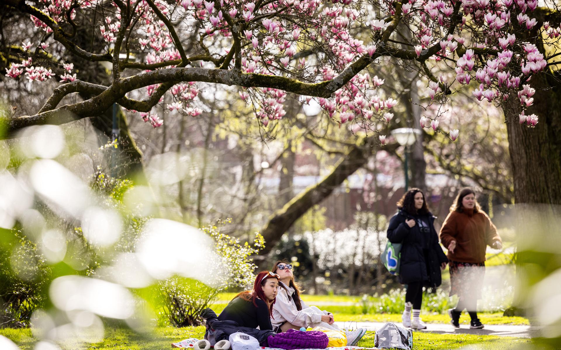 Warme Dagen Op Komst, Zaterdag Lokaal Mogelijk 25 Graden - Dagblad Van ...