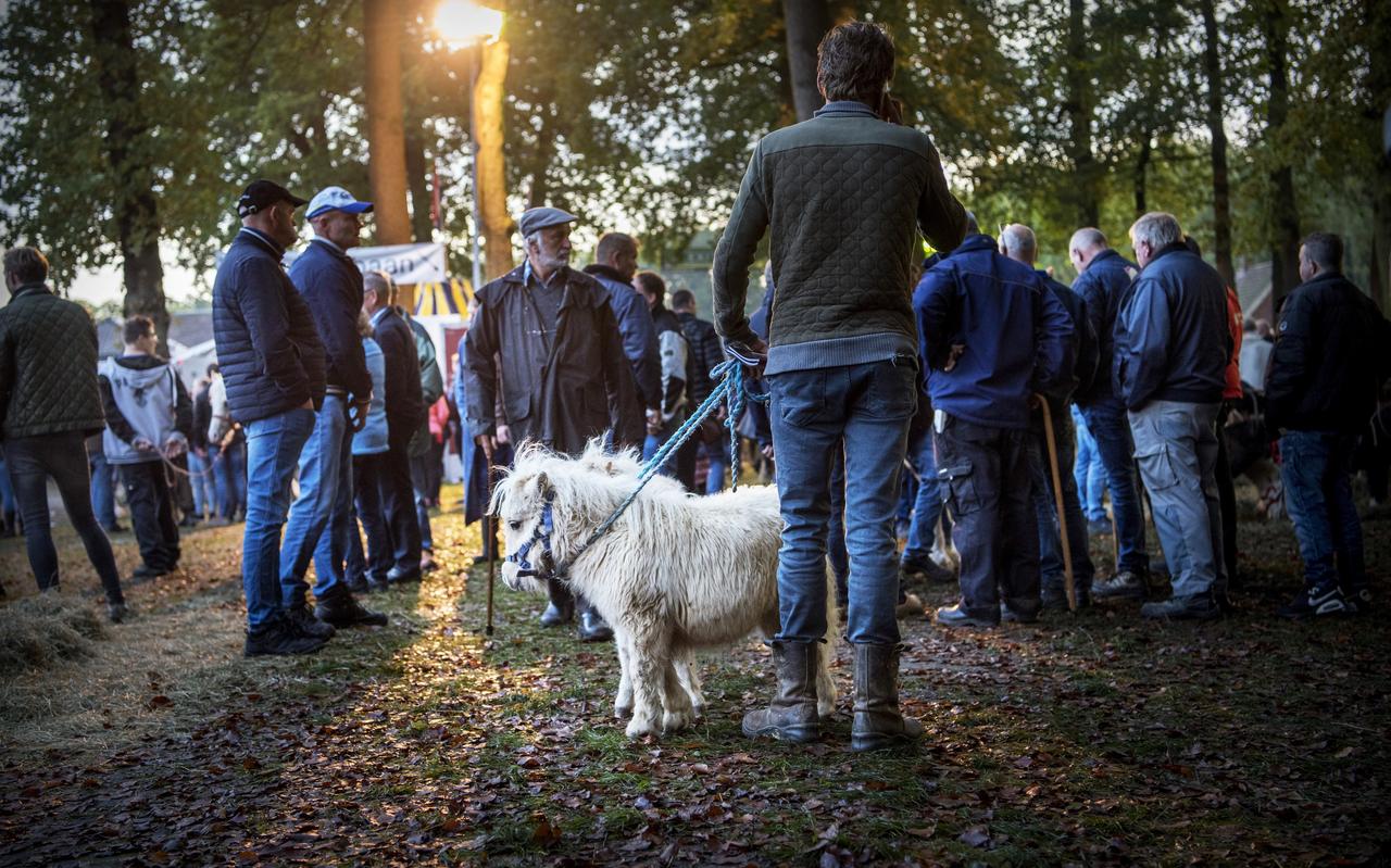 De traditionele paardenmarkt op de derde dinsdag in oktober gaat dit jaar niet door. De traditionele paardenmarkt op de derde dinsdag in oktober gaat dit jaar niet door.