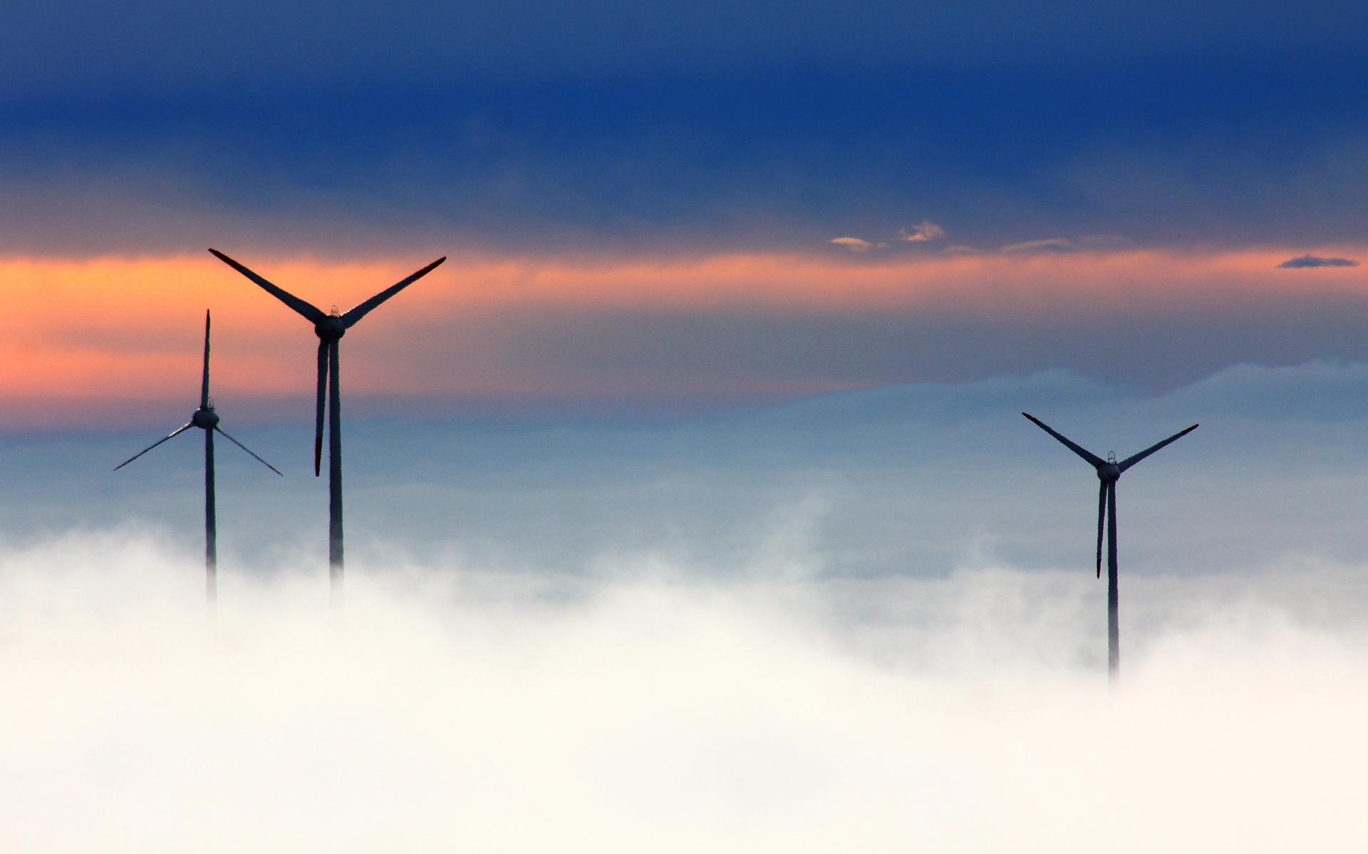 Windplatform: wat vinden omwonenden van opwekken van windenergie bij Westpoort en Roodehaan/ Stainko