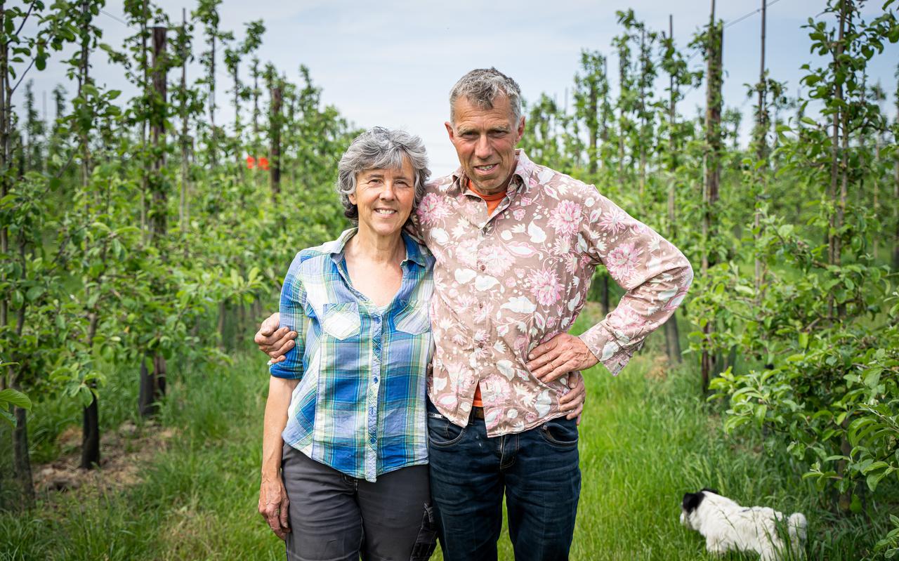 Biologische boeren Piet Glas en Angela Rijnen in hun ciderappelboomgaard.