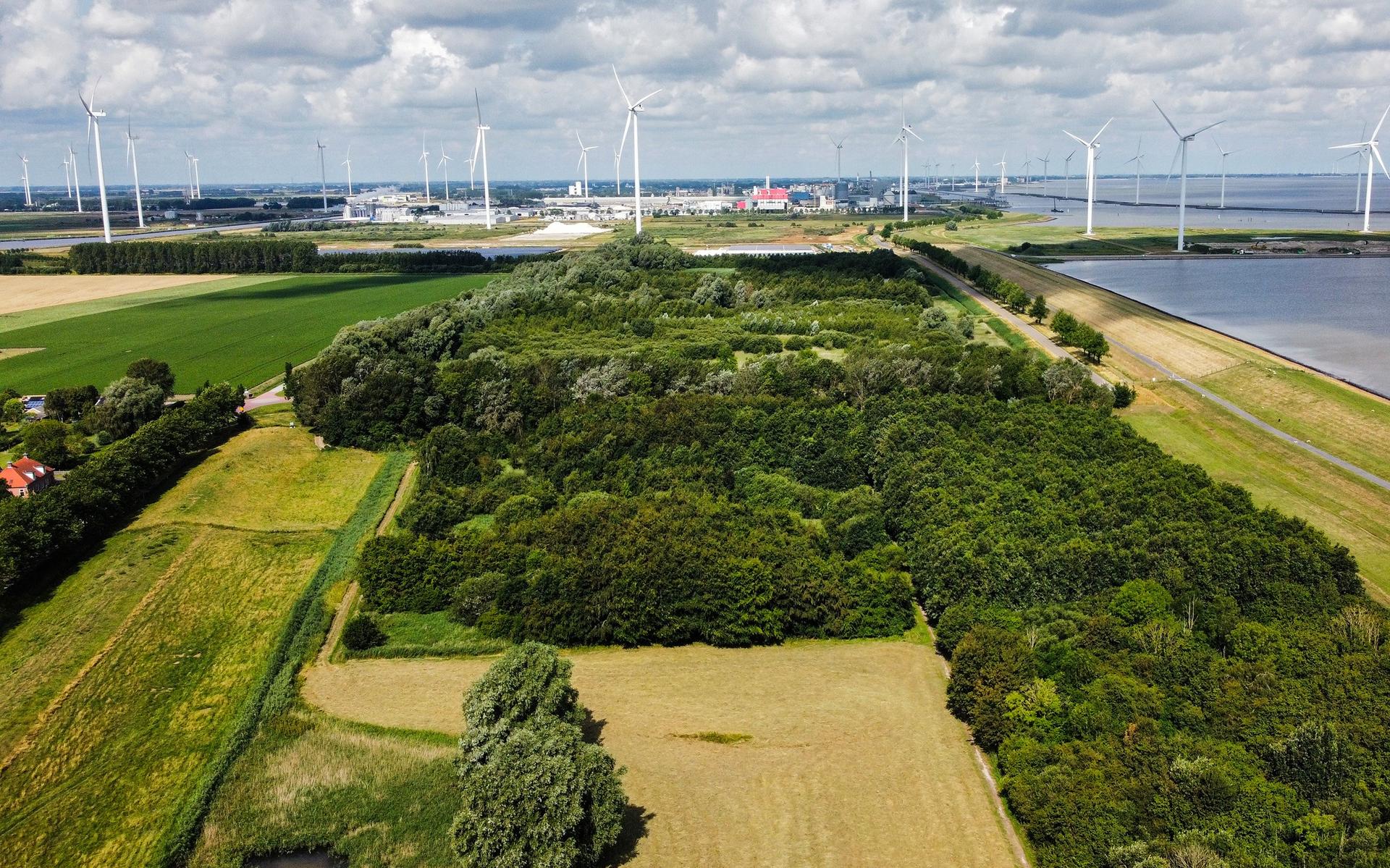 Plan om 'vervuild slib' te laten bezinken in bos bij Borgsweer eerst van tafel. Gedeputeerde Top wil