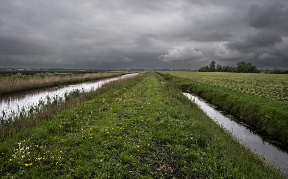 Veendam heeft met het unieke wijkenstelsel goud in handen.
