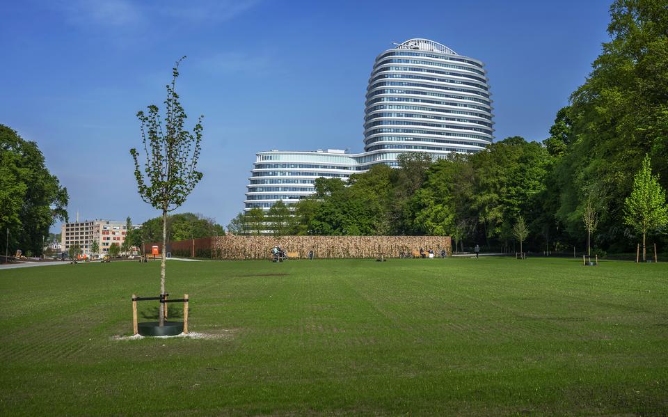 Een deel van het nieuwe Zuiderplantsoen in Groningen, op de verdiepte ligging van de ringweg bij de Hereweg, is voor de opening op 8 mei al aardig groen geworden. 