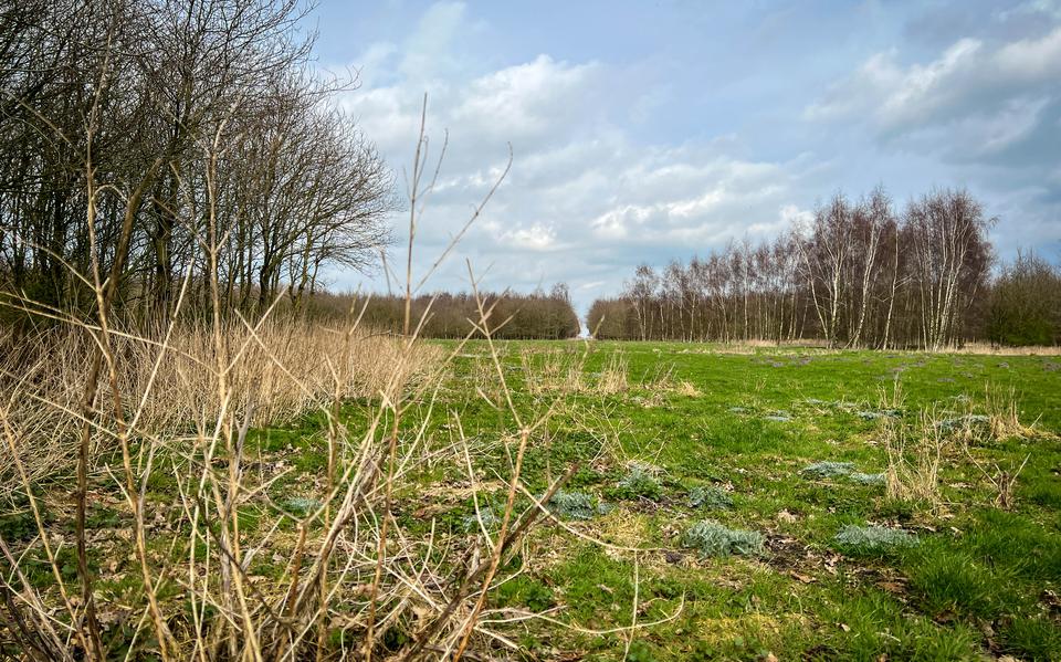 Uitvaartondernemers willen een natuurbegraafplaats aanleggen bij Slochteren.