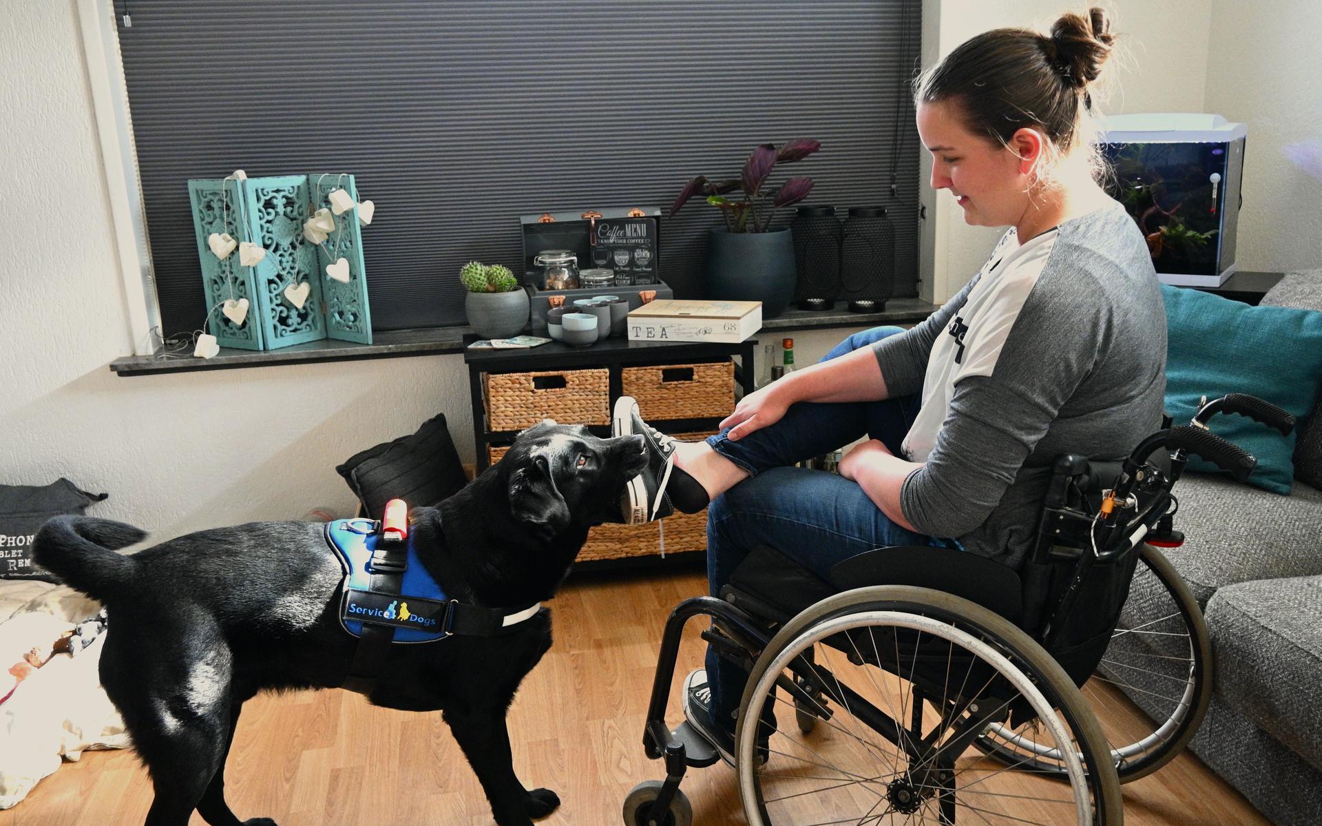 Service Dogs in 2e Exloërmond kan door het coronavirus zijn hulphonden niet kwijt