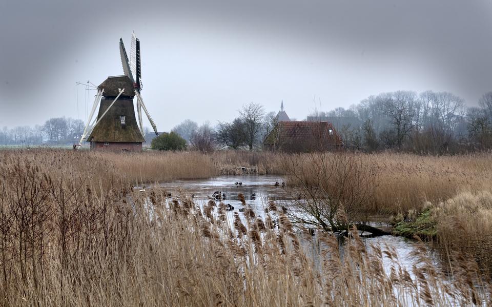 Het natuurgebied Kardinge met de Noordermolen. Rechts is de kerktoren van Garmerwolde nog net zichtbaar. 