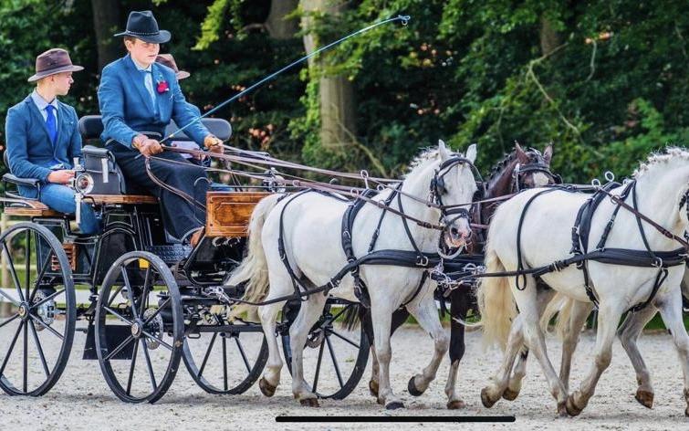 Joris Wouda (15) uit Drouwen levert topprestatie: tweede op het Nationale concours mennen (tussen de