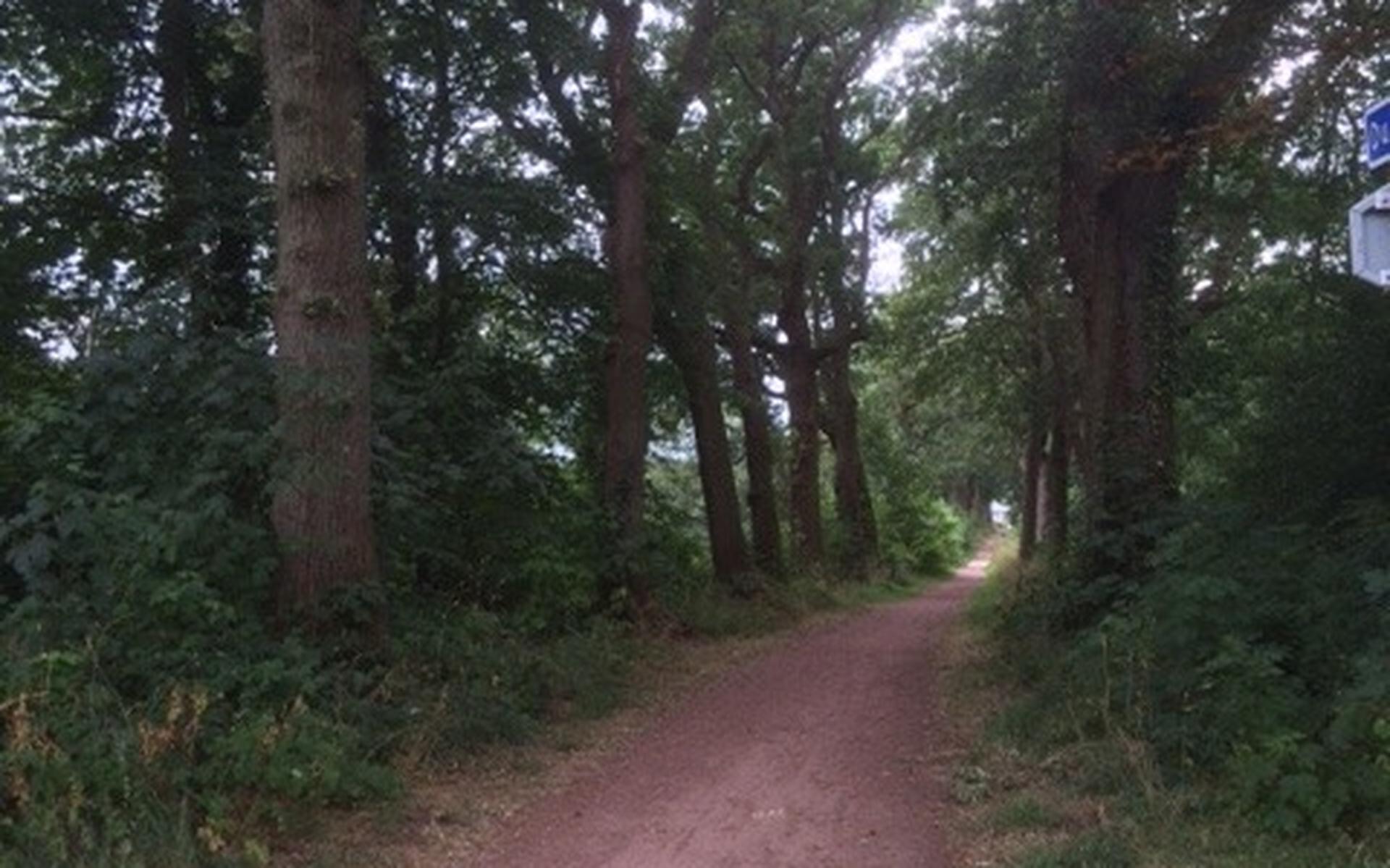 'Knap fietspad langs Baggelwieken zo snel mogelijk op' - Dagblad van het Noorden
