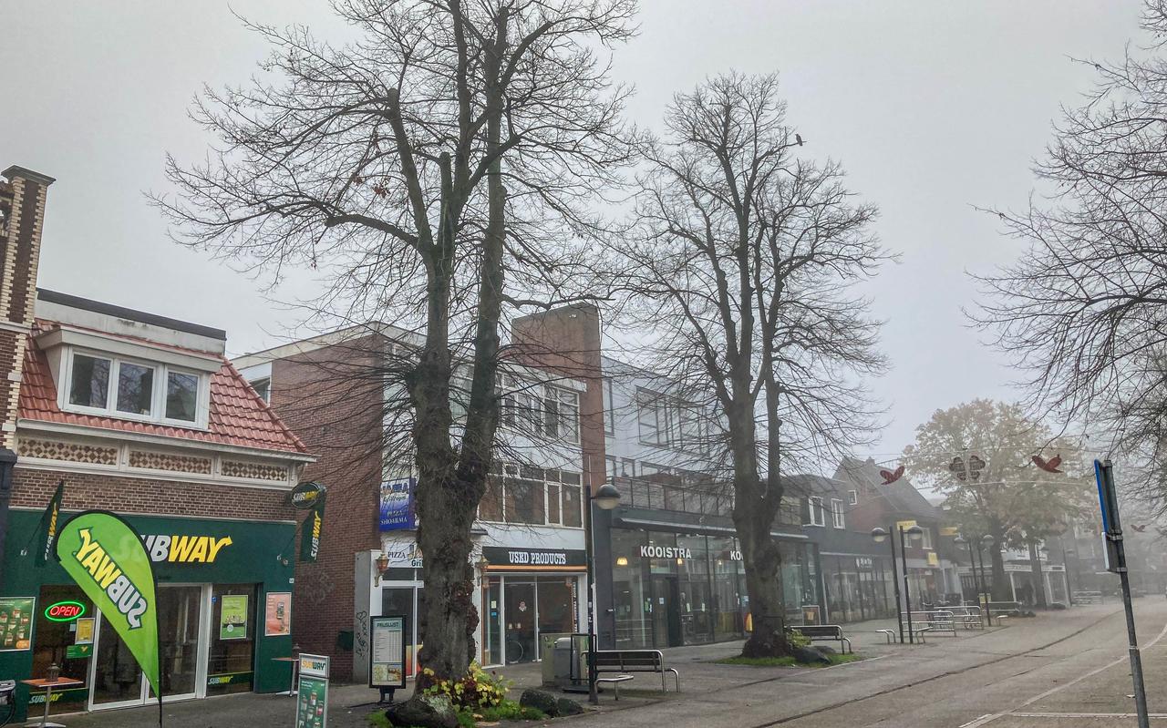 De oude lindebomen vlakbij Subway in de Hoofdstraat gaan in de plannen van de gemeente Emmen ook tegen de vlakte.
