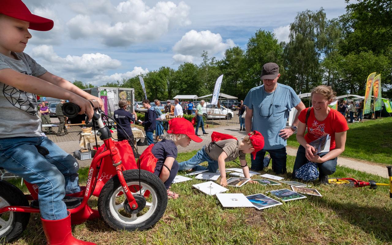 Kinderen leren vogels herkennen met een spel. Kinderen leren vogels herkennen met een spel.