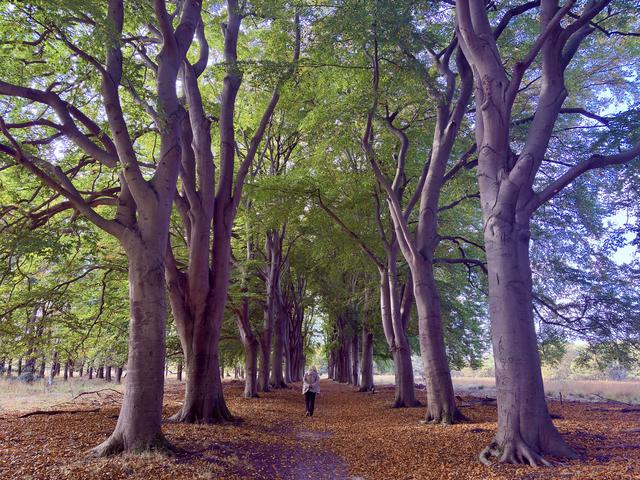 Herfstplaatje in natuurgebied De Klencke