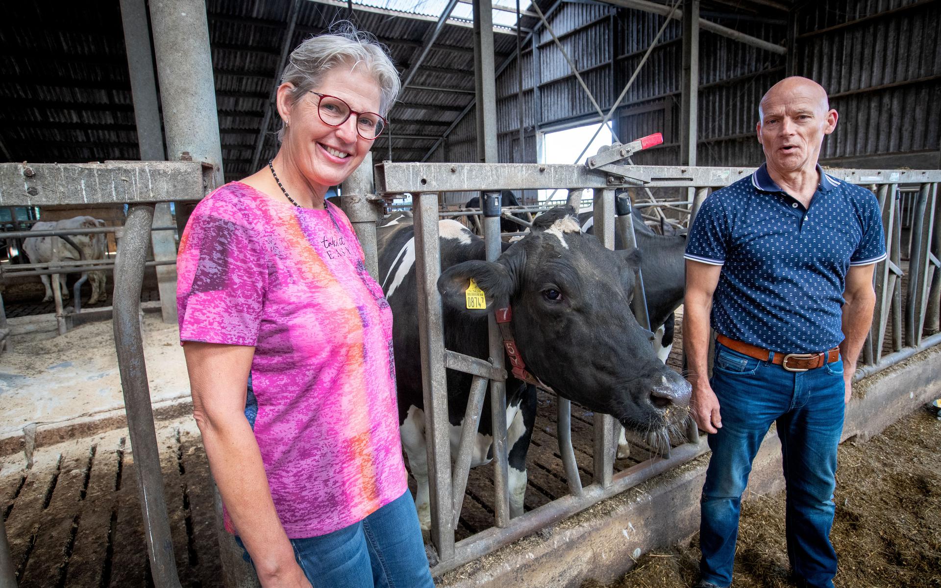 From Dairy Farming to Solar Panels: Joop and Marja Westerveld’s New Chapter in Stadskanaal