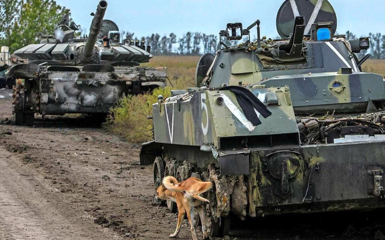 Een hond plast over een op de Russen buitgemaakt infanteriegevechtsvoertuig. Een hond plast over een op de Russen buitgemaakt infanteriegevechtsvoertuig.