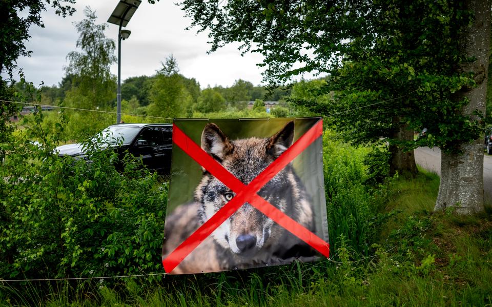 Protest tegen de wolf in 2024 bij het bezoekerscentrum van het Drents Friese Wold.