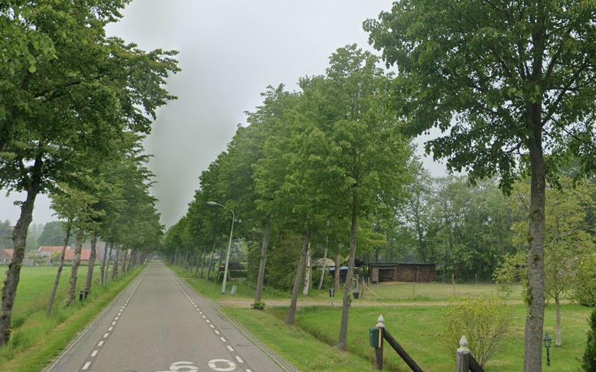 Bewoners Loosterweg in Veelerveen en Vriescheloo maken zich zorgen over hardrijders - Dagblad van he