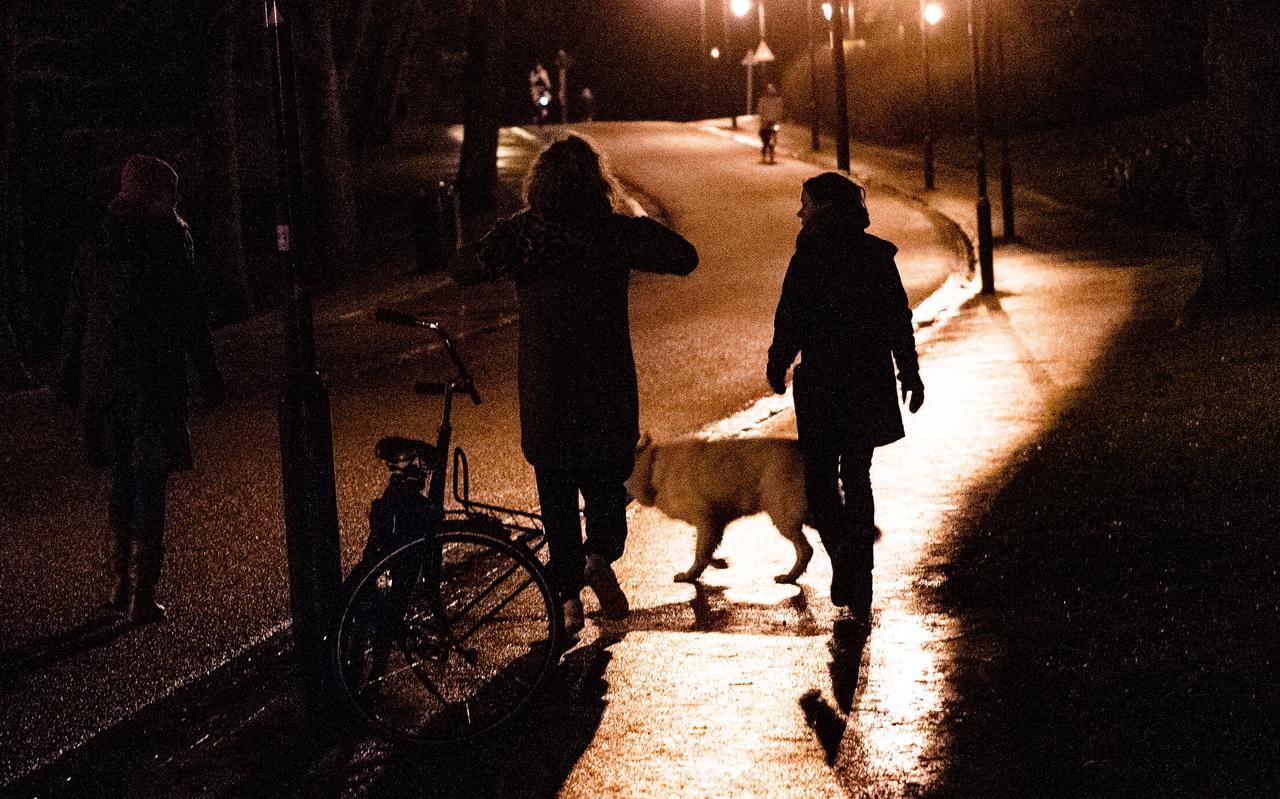 Op straat nu het nog kan: avondwandeling in het Noorderplantsoen Op straat nu het nog kan: avondwandeling in het Noorderplantsoen
