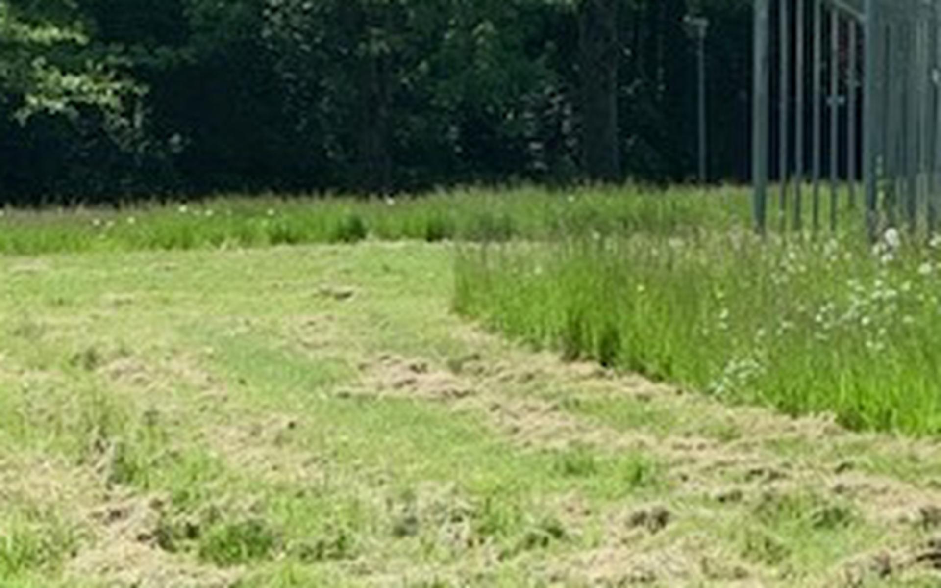De gemeente Oldambt trekt minder geld uit voor onderhoud van het groen. Op de foto het voetbalveldje voor de jeugd in Midwolda.